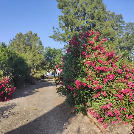 Cortijo El Morisco.